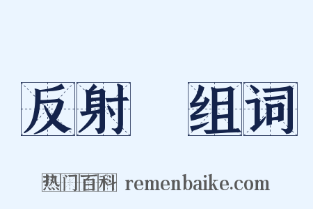 反射鏡组词是什么意思的图片